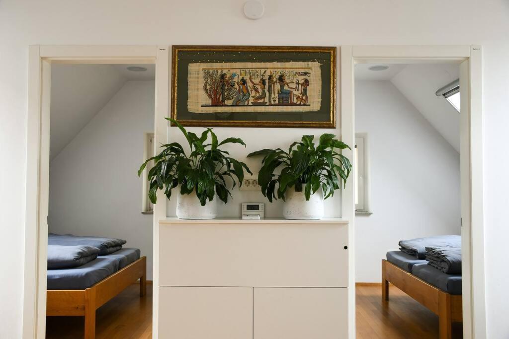 Stairway To Ljubljana Apartment Eksteriør bilde